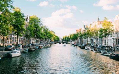 Investment Considerations for Americans Living in the Netherlands