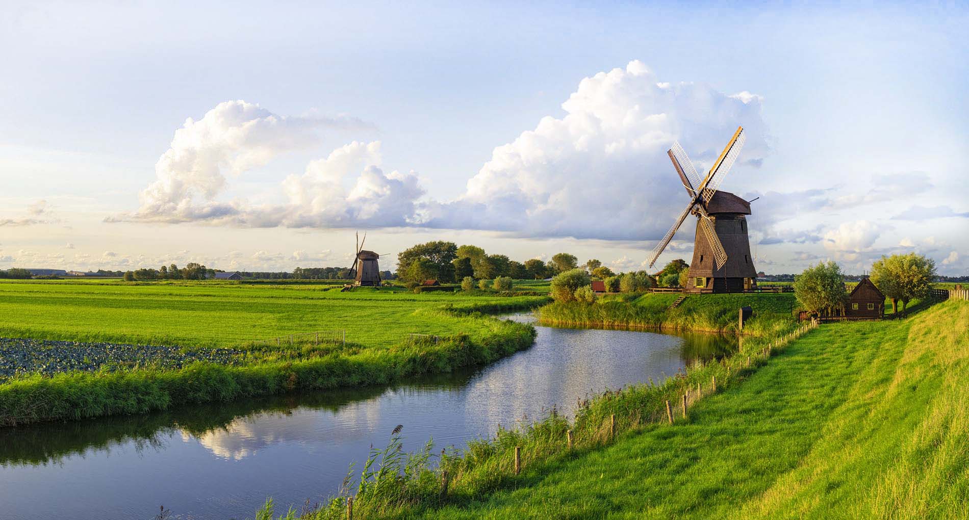 Financial Planning and Investing for Americans in the Netherlands